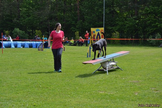 DV v Agility DSC 0690