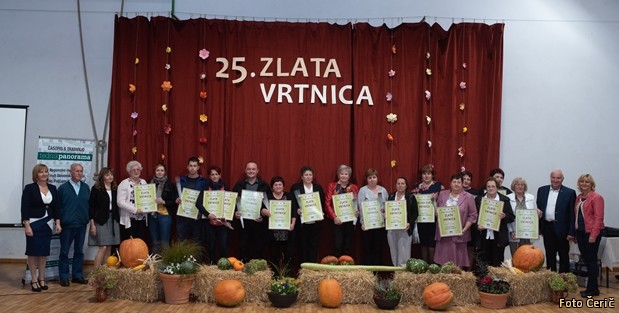 Zlata vrtnica Zlata vrtnica