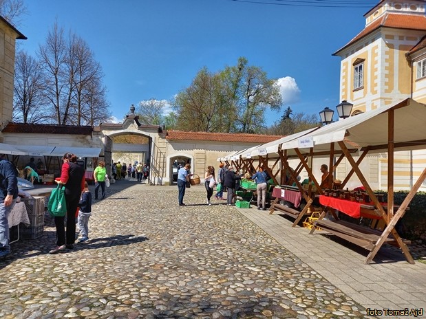 velikonocna trznica 20210401 130504 velikonocna trznica 20210401 130504
