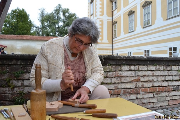 podobe bistriskih domacij DSC 0167