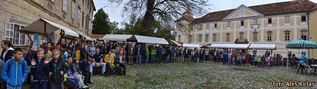 podobe bistriskih domacij panorama podobe