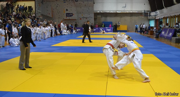 topolcnikov memorial-judo 0020