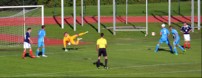 Slovenija - Skotska    1   3 slo skotska7