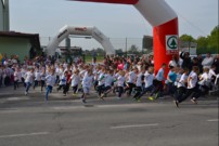 12. bistriski tek 12 bistriski tek 2432