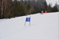 Veleslamon za pokal obcine Slov. Bistrca DSC 0592