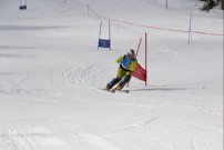 Veleslamon za pokal obcine Slov. Bistrca DSC 0634