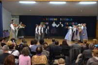 35. obmocna revija otroskih folklornih skupin DSC 1105